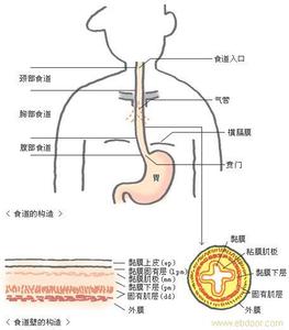 肝癌传染吗